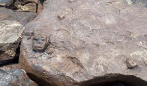 En la Amazonía, la sequía histórica del río Negro revela grabados de varios milenios de antigüedad