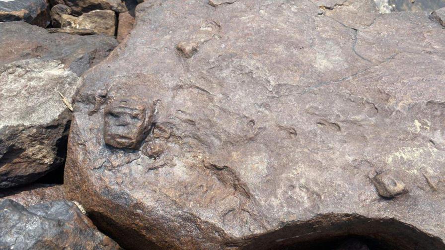 En la Amazonía, la sequía histórica del río Negro revela grabados de varios milenios de antigüedad En la Amazonía, la sequía histórica del río Negro revela grabados de varios milenios de antigüedad