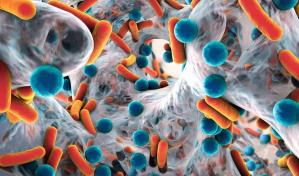 Un nuevo antibiótico es prometedor, en ratones, contra una bacteria multirresistente