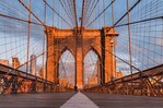 Hombre trepa los cables del puente de Brooklyn y paraliza el tránsito en plena hora pico en NY Hombre trepa los cables del puente de Brooklyn y paraliza el tránsito en plena hora pico en NY