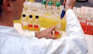 Tras siglos de misterio, investigadores de EE.UU. descubren por qué la orina es amarilla