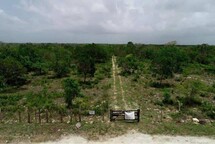 Caso del Aeropuerto de B&aacute;varo se convierte en referencia del derecho aeroportuario