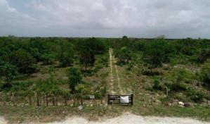 Abinader se basa en sentencia de SCJ para poner fin al AIB