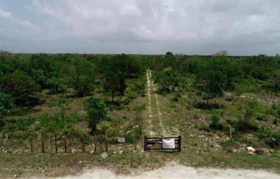 Caso del Aeropuerto de B&aacute;varo se convierte en referencia del derecho aeroportuario