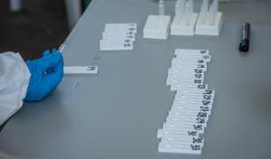 Variante JN.1 es la dominante en territorio dominicano