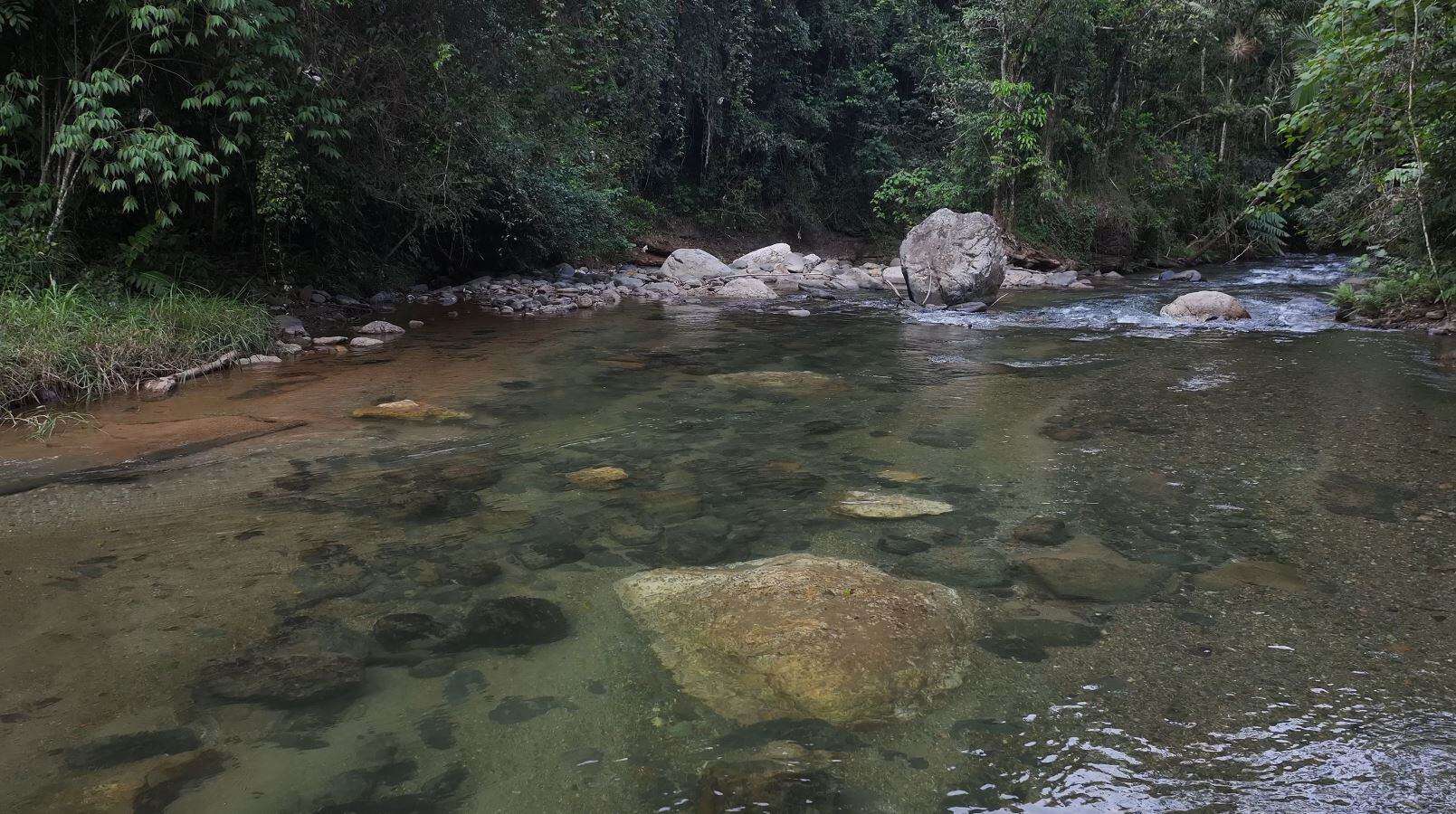 Parte del río Cenovicito, fuente de funcionamiento de la minihidroeléctrica El Palero.