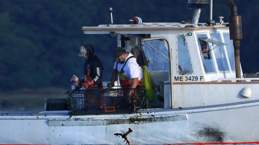Pescadores de langostas en EE.UU. demandan ante nuevas normas de monitoreo