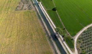 Matorrales y pastos capturan un 35 % menos de CO2 cuando la sequía es extrema