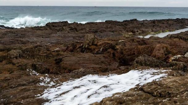 Una “marea blanca” de microplásticos invade las costas de Galicia en España