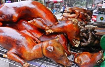 Corea del Sur, donde se comen los perros, prohíbe consumir esa carne a partir del 2027