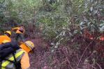 Bomberos forestales combaten incendio en Loma Novillero Bomberos forestales combaten incendio en Loma Novillero
