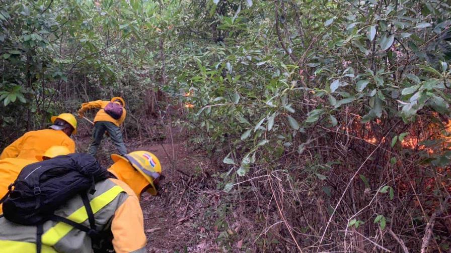 Bomberos forestales combaten incendio en Loma Novillero