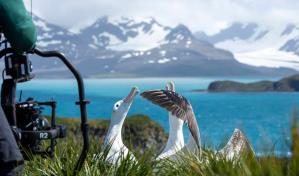 La Gran Migración del Serengueti, una fuente de historias dignas de Hollywood