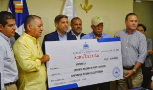 Arroceros reciben RD$50 millones para compra de semillas; aún esperan próxima reunión del DR-Cafta