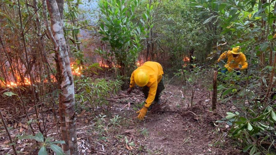Investigan causas de incendio forestal registrado en Loma Novillero