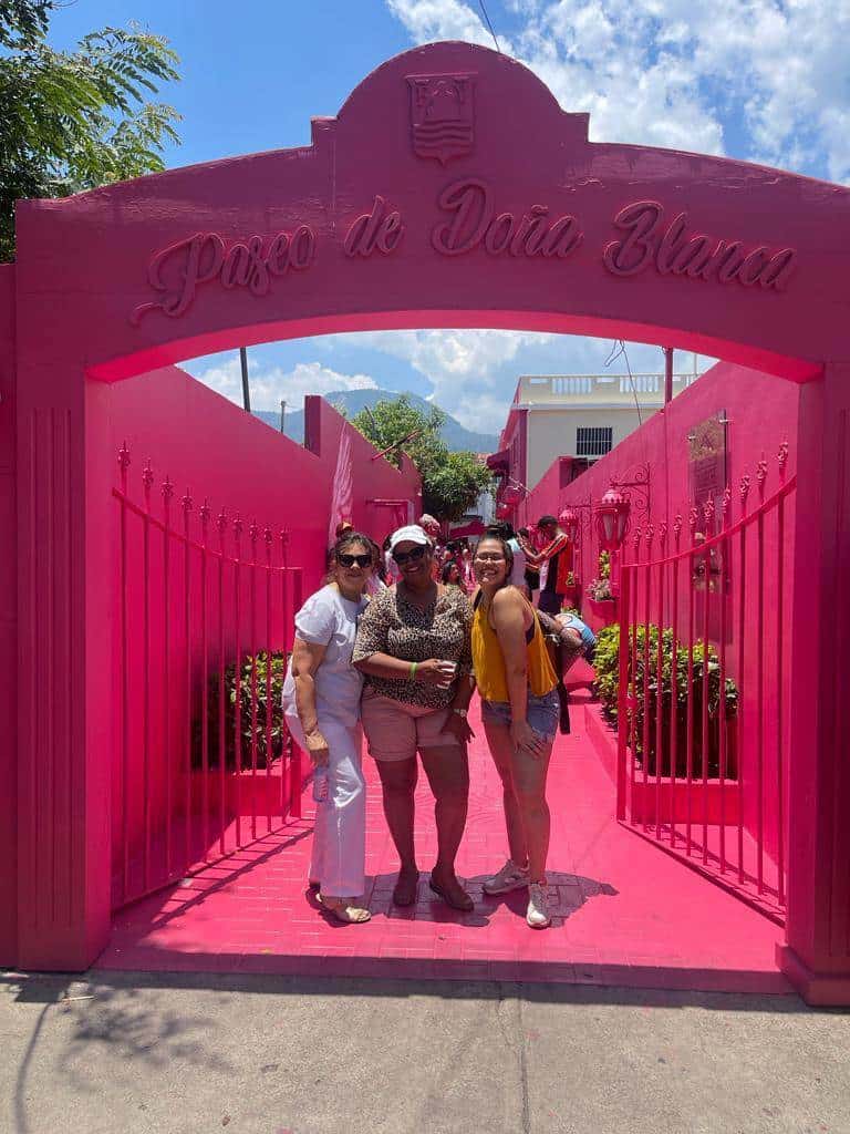 Todo rosado, la entrada al Paseo de doña Blanca.