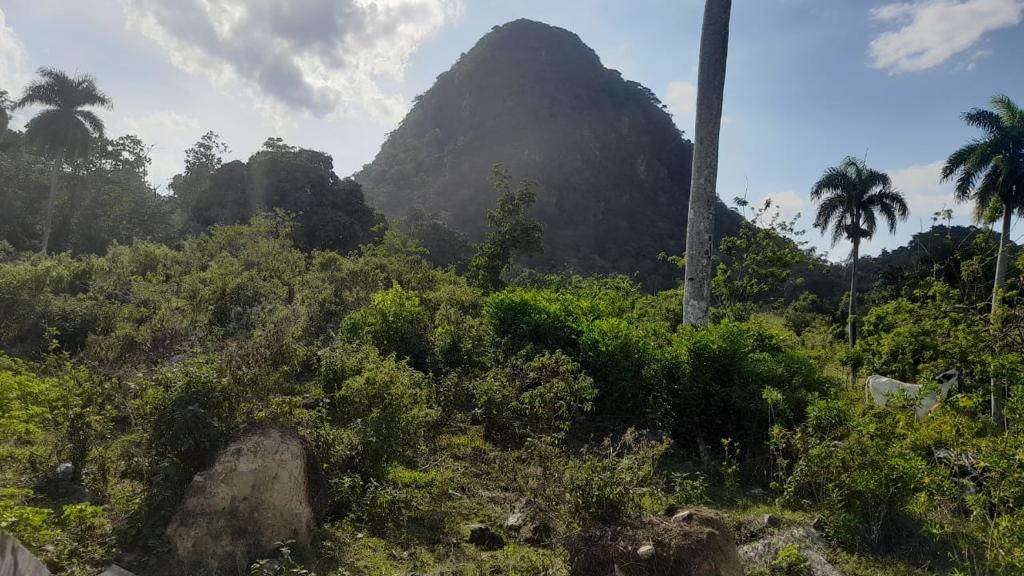 A lo lejos se observa el Pico Diego de Ocampo.