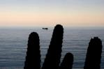 Los océanos batieron en 2023 el récord de temperatura más alta por quinto año consecutivo Los océanos batieron en 2023 el récord de temperatura más alta por quinto año consecutivo