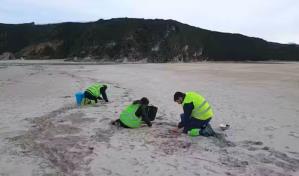¿Cómo se comportan los pélets de plástico en el medio marino?