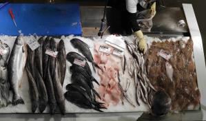 ¿Comemos el plástico que comen los peces? Sí, y también sus contaminantes