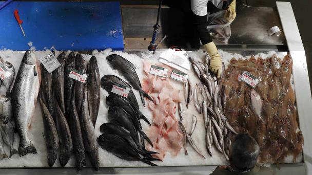¿Comemos el plástico que comen los peces? Sí, y también sus contaminantes