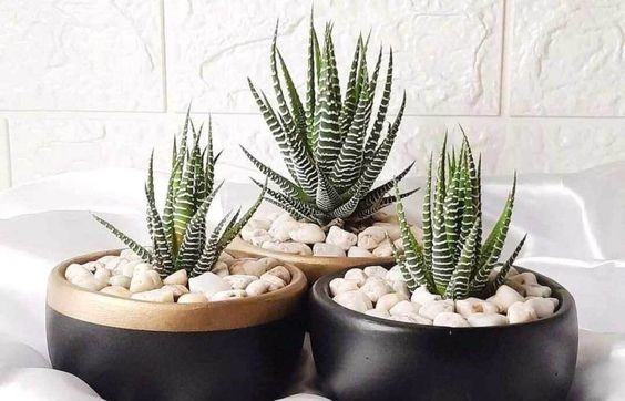 [object HTMLTextAreaElement]