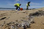 Los pellets, el nuevo enemigo ambiental que golpea a la costa norte española Los pellets, el nuevo enemigo ambiental que golpea a la costa norte española