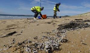 Los pellets, el nuevo enemigo ambiental que golpea a la costa norte española