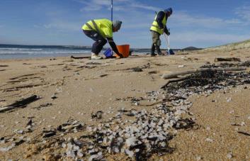 Los pellets, el nuevo enemigo ambiental que golpea a la costa norte española