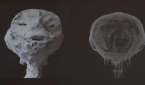 Perú califica de fraude las momias extraterrestres que exhibió México