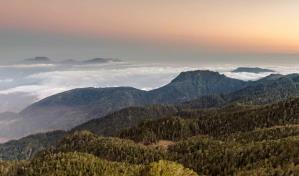 Destacan en calendario ambiental la riqueza natural y cultural de los bosques