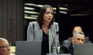 Faride Raful saluda la proclamación de Guillermo Moreno como candidato por el PRM