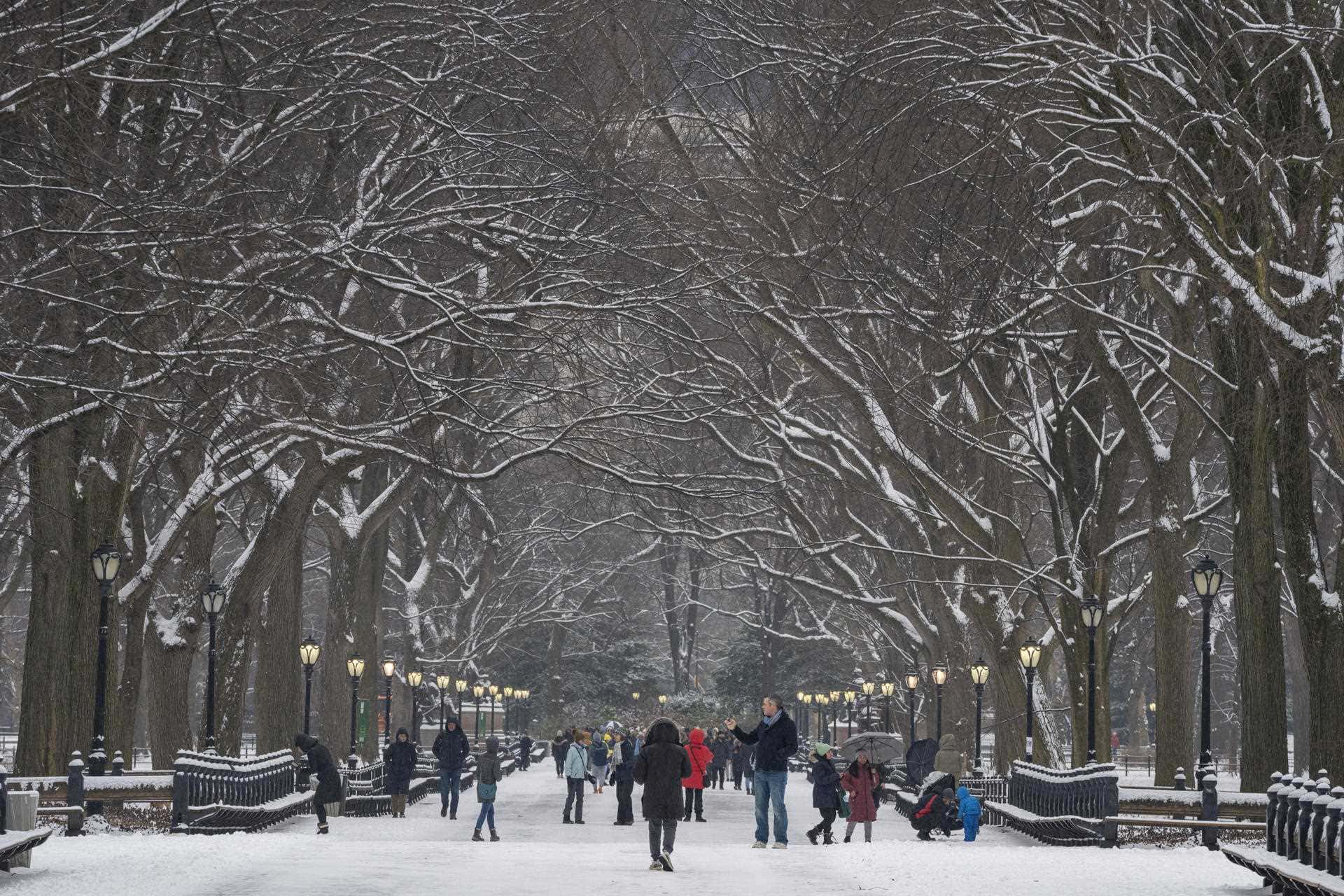  Decenas de personas caminan en la nieve durante la primera nevada de 2024 hoy, en Central Park en Nueva York (EE.UU.). 