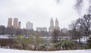 Nueva York recibe su primera nevada en casi dos años
