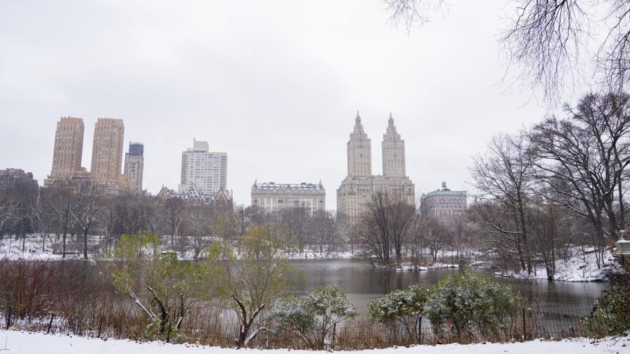 Nueva York recibe su primera nevada en casi dos años