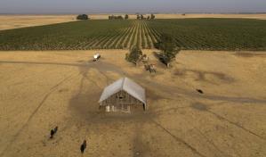 Multimillonarios presentan planes para una nueva ciudad tecnológica en California