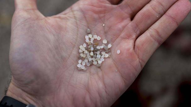 FundéuRAE: pellet, alternativas en español