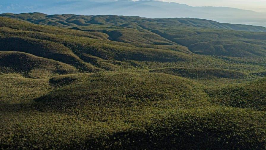 Alerta por posibles fraudes millonarios en el Parque Nacional Sierra de Bahoruco