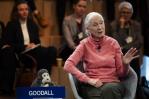 Jane Goodall, primatóloga: Los ecosistemas colapsarán como un tapiz que se queda sin hilos
