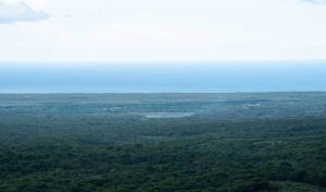 República Dominicana recibirá US$6 MM  por reducción de emisiones