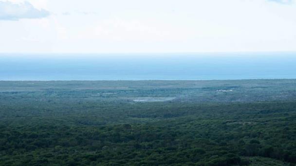República Dominicana recibirá US$6 MM por reducción de emisiones