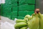 Ecuador decomisa más de 100 kilos de cocaína entre cajas de banano con destino a Bélgica Ecuador decomisa más de 100 kilos de cocaína entre cajas de banano con destino a Bélgica