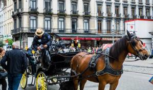 Bruselas será primera ciudad europea con carruajes eléctricos sin caballos para turistas