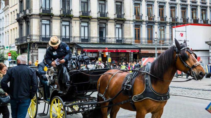 Bruselas será primera ciudad europea con carruajes eléctricos sin caballos para turistas