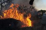 Los incendios forestales en Brasil destruyeron un área del tamaño de Uruguay en 2023 Los incendios forestales en Brasil destruyeron un área del tamaño de Uruguay en 2023