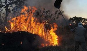 Los incendios forestales en Brasil destruyeron un área del tamaño de Uruguay en 2023