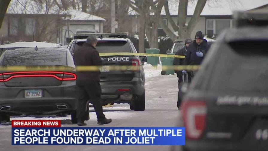 El sospechoso de ocho asesinatos en suburbios de Chicago se ha suicidado en Texas, según la policía