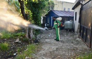 Casos de dengue, cólera y leptospirosis superaron en 2023 las cifras del año anterior