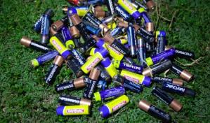 Pilas y pesca de anguila: un problema ambiental al que hay que ponerle atención