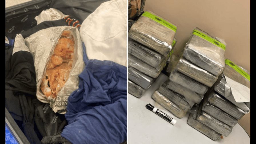 Hombre es atrapado con 40 libras de cocaína camufladas entre camarones congelados en NY